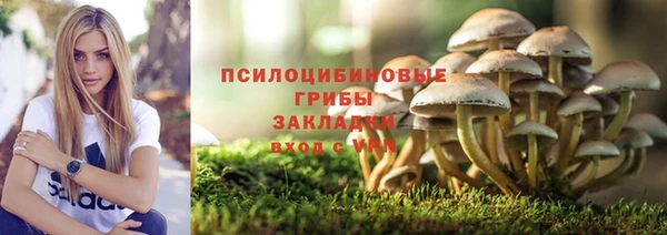 дживик Баксан
