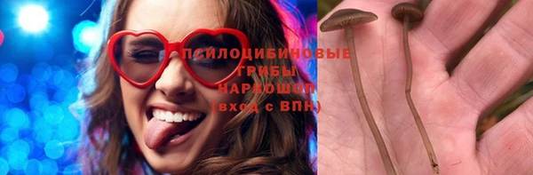 дживик Баксан