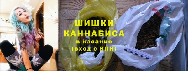 дживик Баксан