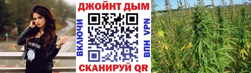 Каннабис план Волгореченск